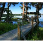 Lake Nona FL Real Estate