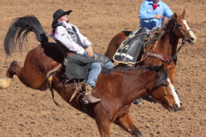 Kissimmee FL Rodeo