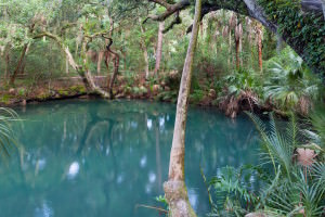 Deltona Green Springs Park